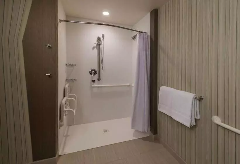 身障者適用キングサイズベッドルーム, Courtyard By Marriott Reno Downtown/riverfront