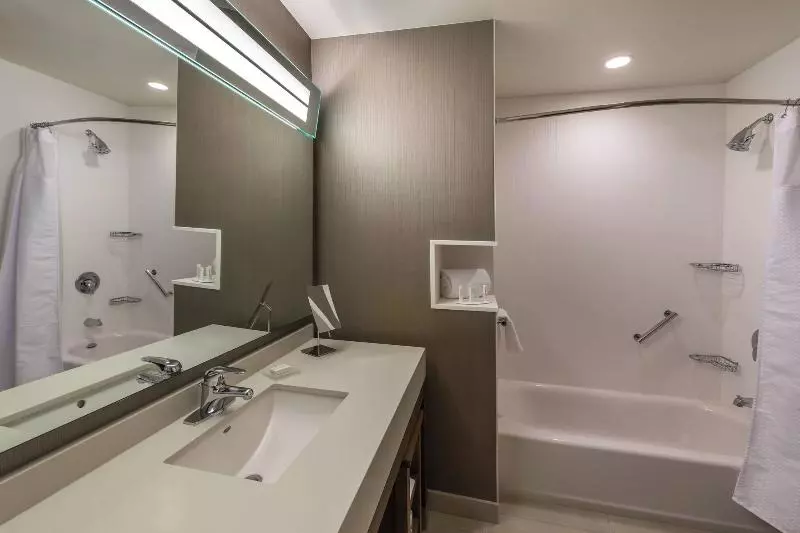 リバービュースタンダードルーム, Courtyard By Marriott Reno Downtown/riverfront
