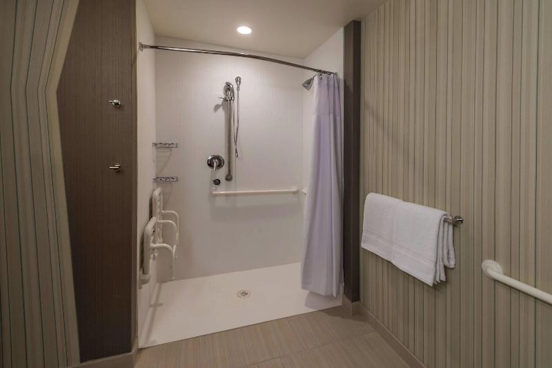 キングサイズベッドのスタンダードルーム, Courtyard By Marriott Reno Downtown/riverfront