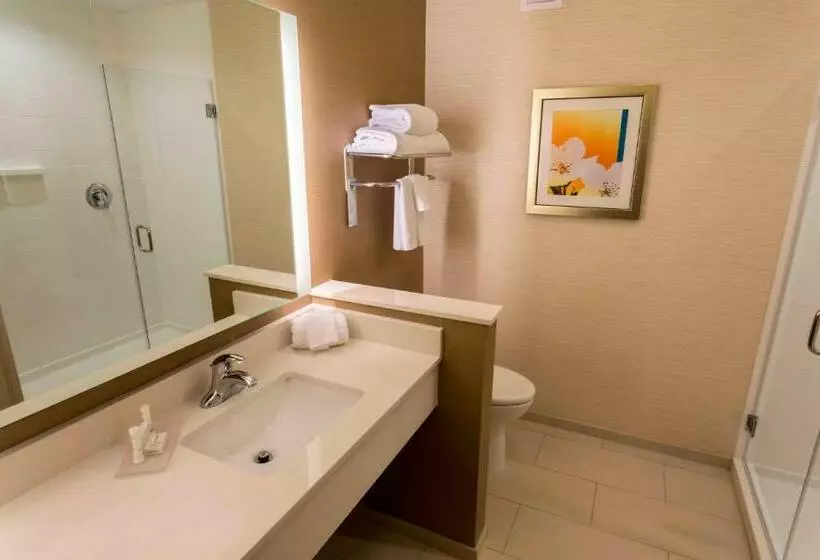 スタンダードルーム, Fairfield Inn & Suites By Marriott Geneva Finger Lakes