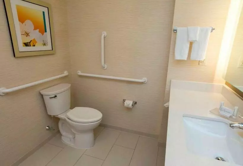 キングサイズベッドのスタンダードルーム, Fairfield Inn & Suites By Marriott Geneva Finger Lakes