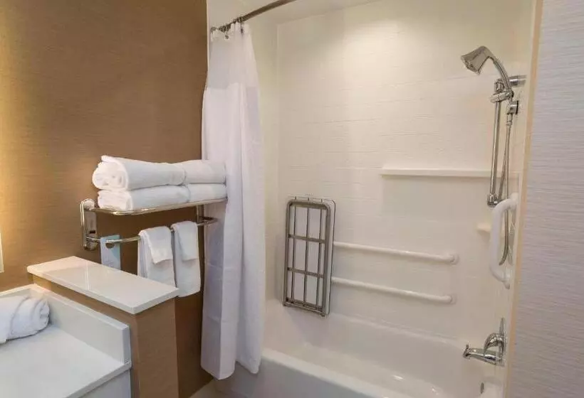 キングサイズベッドのスイートルーム, Fairfield Inn & Suites By Marriott Geneva Finger Lakes