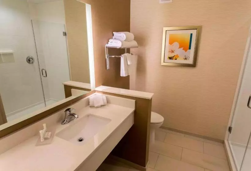 スイート, Fairfield Inn & Suites By Marriott Geneva Finger Lakes