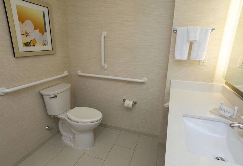 套房, Fairfield Inn & Suites By Marriott Geneva Finger Lakes