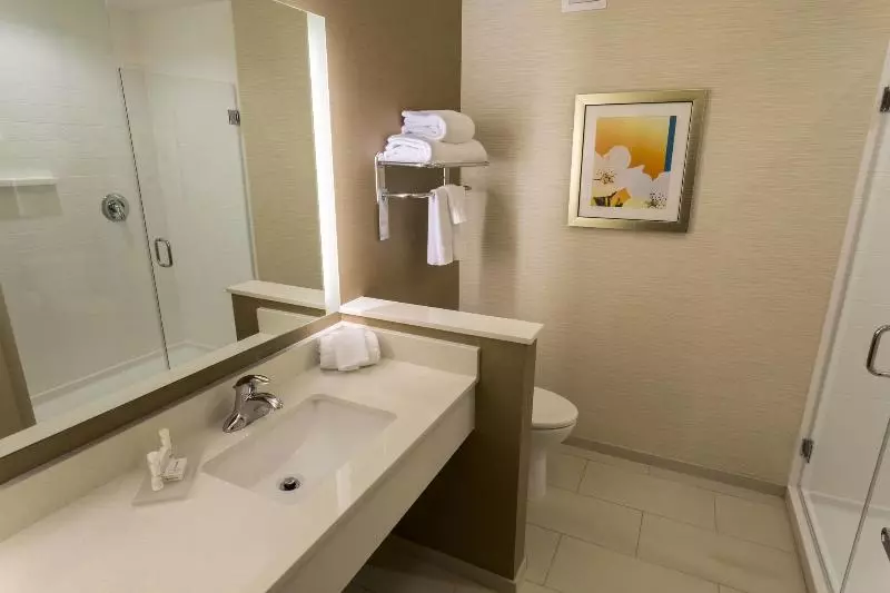 キングサイズベッドのスタンダードルーム, Fairfield Inn & Suites By Marriott Geneva Finger Lakes