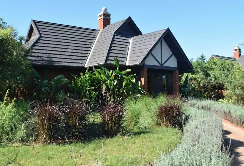 １ベッドルームのデラックスアパートメント, The Retreat At Ngorongoro