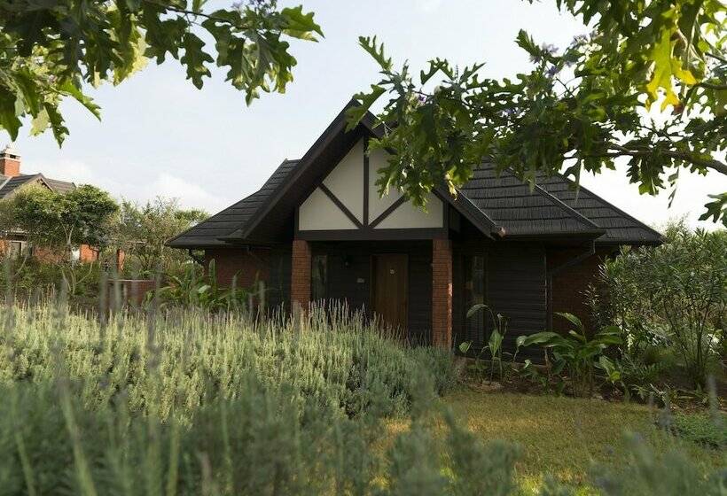 1间卧室的房子, The Retreat At Ngorongoro