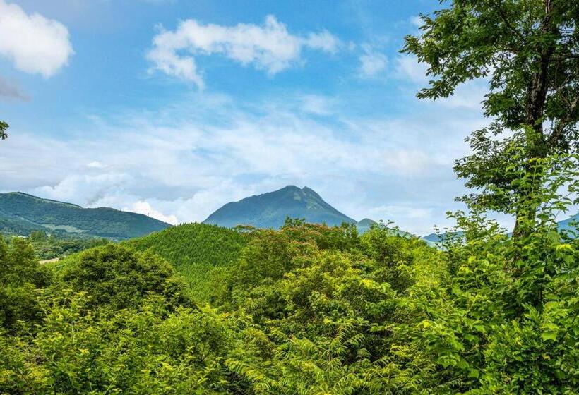 חדר סופריור, Kusayane No Yado Ryunohige