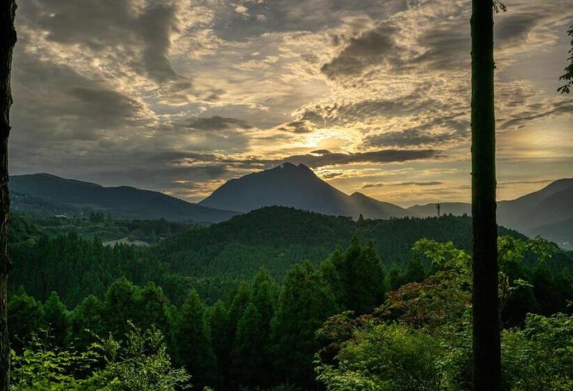 סוויטה אקזקיוטיב, Kusayane No Yado Ryunohige