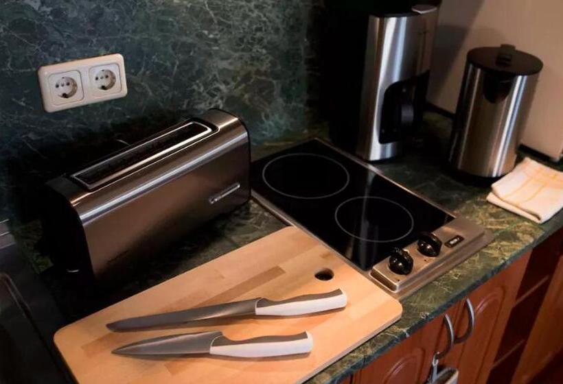 آپارتمان 1 خوابه با چشم‌انداز, Tallinn City Apartments Harju Residence