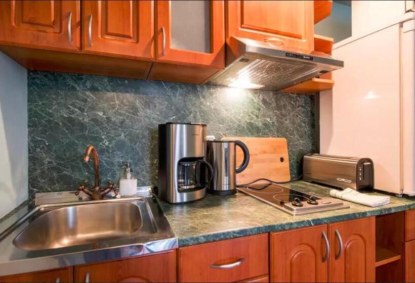 آپارتمان 1 خوابه با چشم‌انداز, Tallinn City Apartments Harju Residence