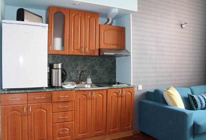 آپارتمان 1 خوابه, Tallinn City Apartments Harju Residence