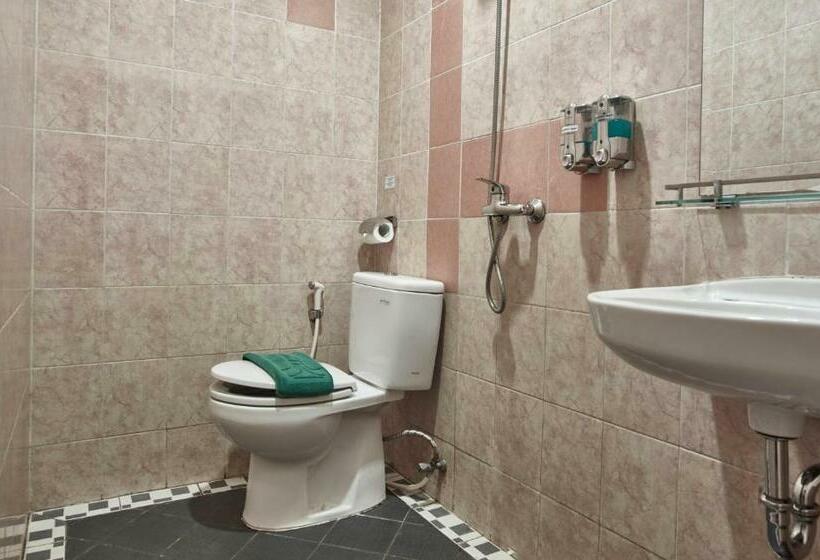 غرفة قياسية, Twins