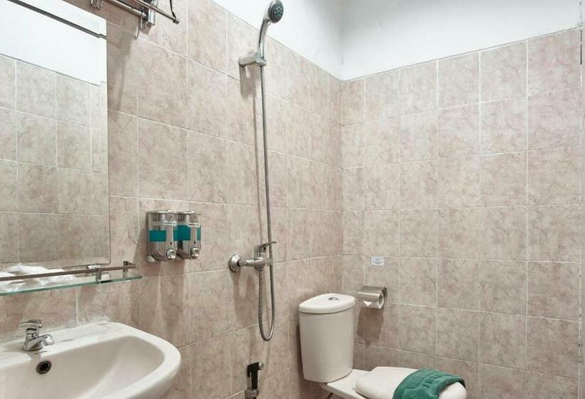 غرفة قياسية فردية, Twins