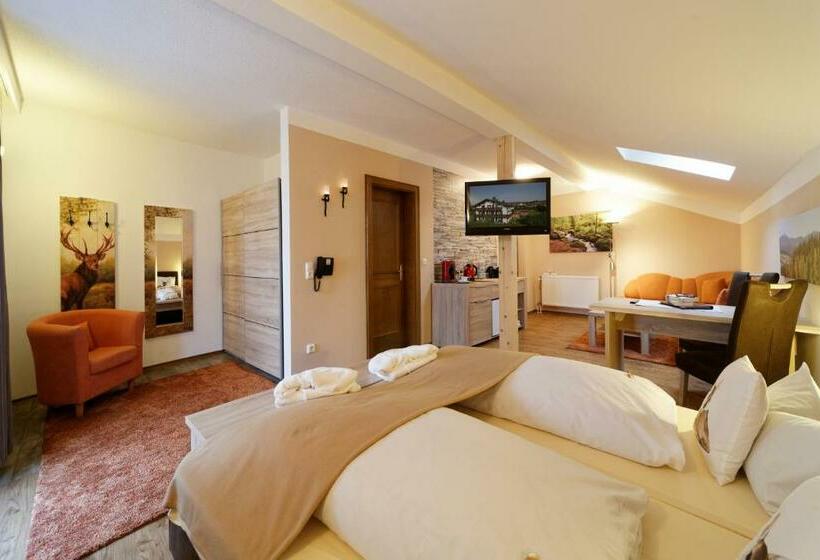 山景套房, Zur Neuen Post Landgasthof