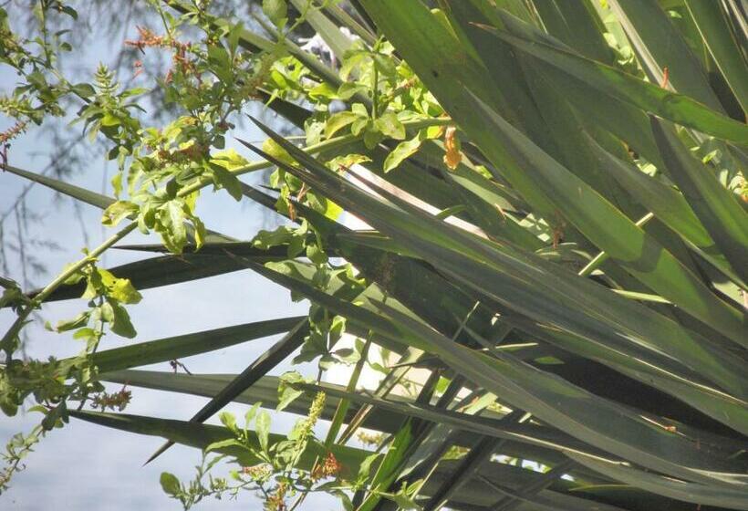 침실 1개 바다 전망 아파트, Beachfront Villa Mediteran