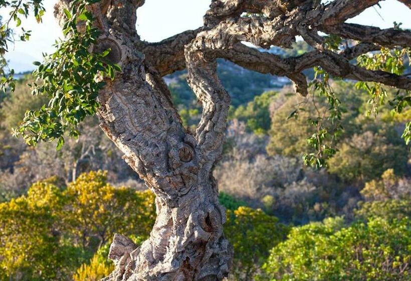 스탠다드 발코니 룸 바다 전망, Chambres D Hôtes Casa Di L Oru