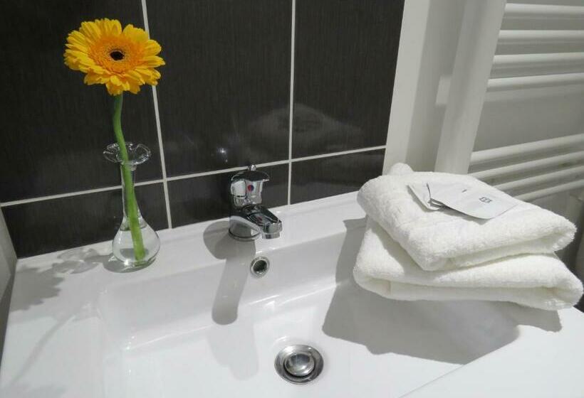 Номер Стандарт, Le Saint Patrice