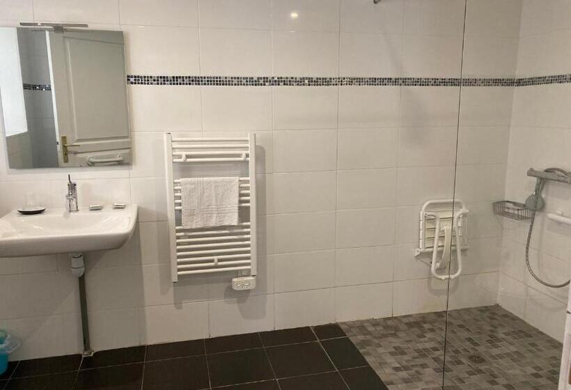 Номер Стандарт Адаптированный для Инвалидов, Le Saint Patrice