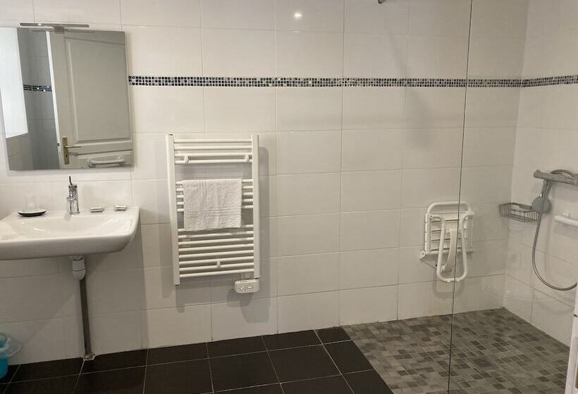 Номер Стандарт Адаптированный для Инвалидов, Le Saint Patrice