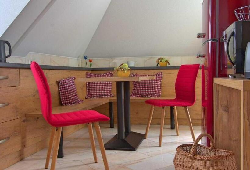 דירת חדר עם טרסה, Kammerer