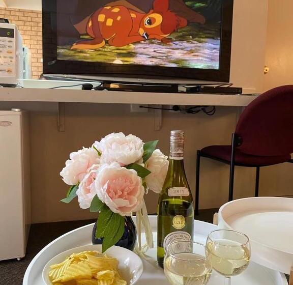 اتاق سوپریور خانوادگی, Apollo Motel Parkes