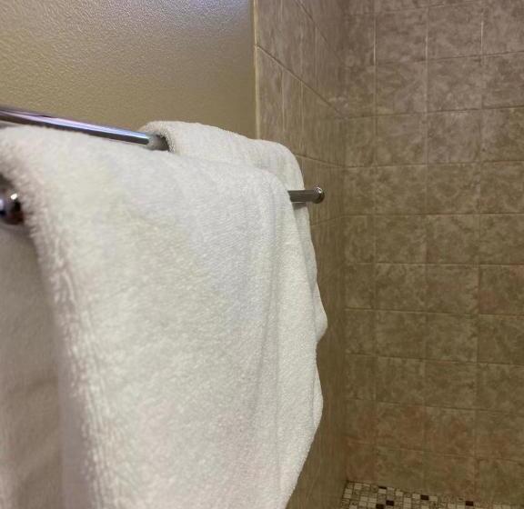 استودیوی لوکس, Apollo Motel Parkes