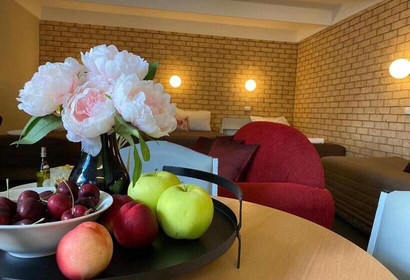 اتاق سوپریور خانوادگی, Apollo Motel Parkes