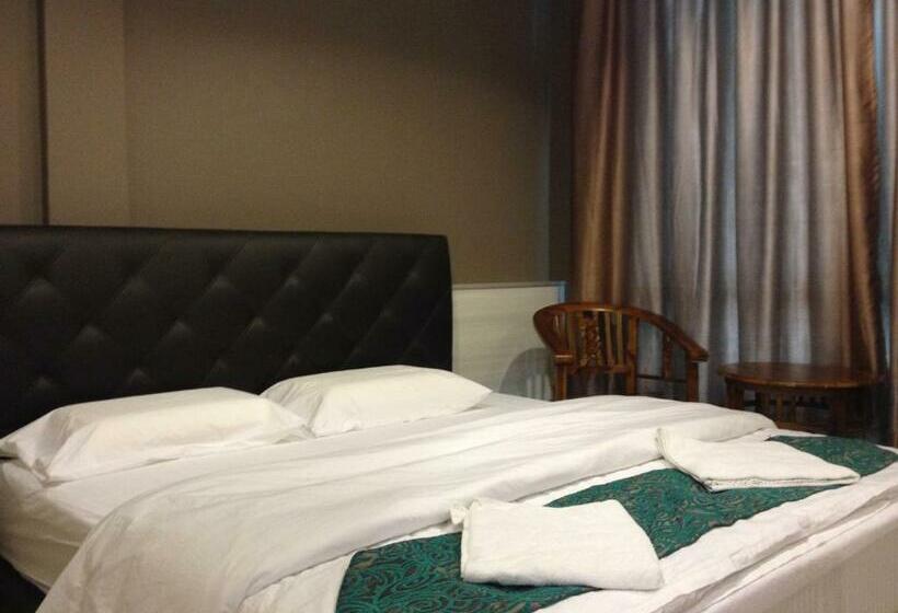 带大床的豪华间, Aero Star