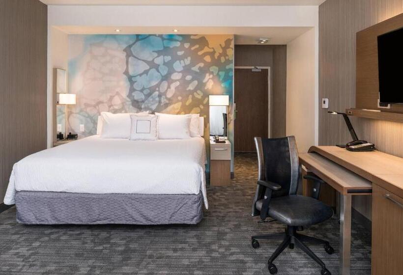 Стандартный Номер Кровать Кинг, Courtyard By Marriott Detroit Farmington