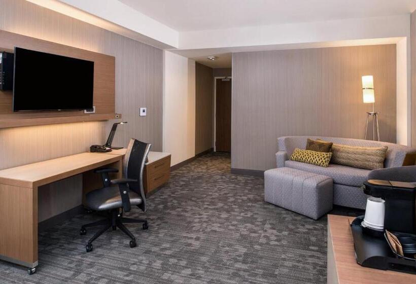 스위트, Courtyard By Marriott Detroit Farmington