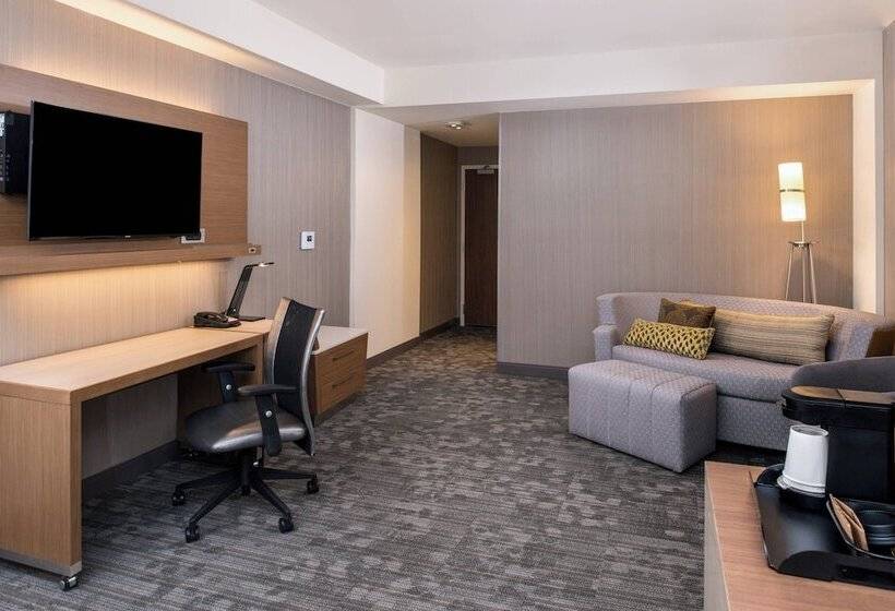 스위트, Courtyard By Marriott Detroit Farmington