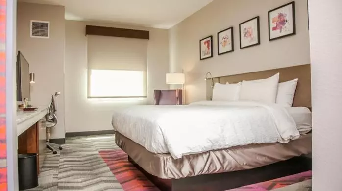 Standard-huone King-vuode, Hilton Garden Inn Tampa Suncoast Parkway