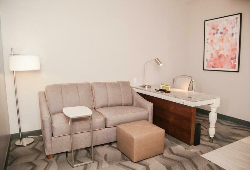 جناح جونيور سرير كينج, Hilton Garden Inn Tampa Suncoast Parkway