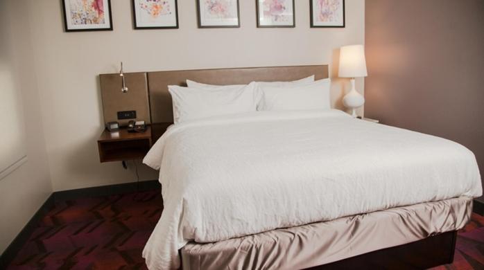 스탠다드 룸 킹사이즈 침대, Hilton Garden Inn Tampa Suncoast Parkway