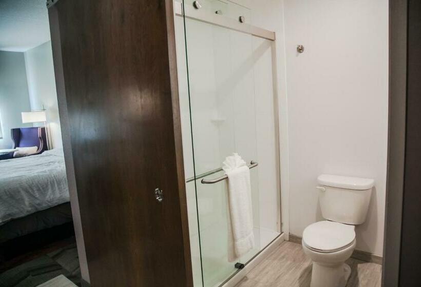 غرفة قياسية سرير كينج, Hilton Garden Inn Tampa Suncoast Parkway