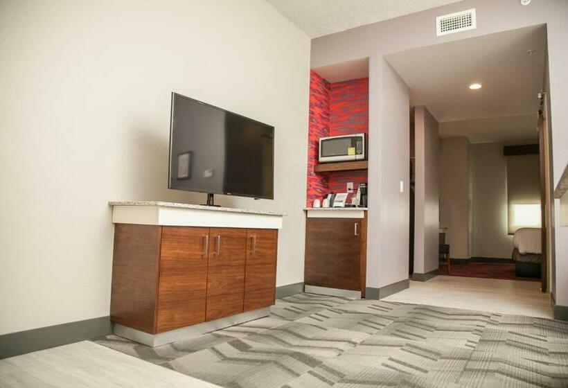 주니어 스위트 킹사이즈 침대, Hilton Garden Inn Tampa Suncoast Parkway