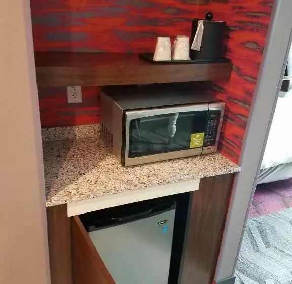 Standard-huone King-vuode, Hilton Garden Inn Tampa Suncoast Parkway