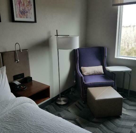 غرفة قياسية سرير كينج, Hilton Garden Inn Tampa Suncoast Parkway