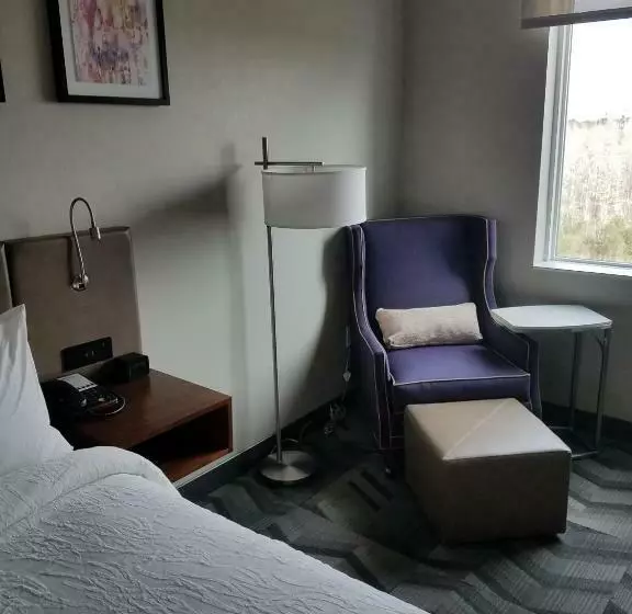 Standard-huone King-vuode, Hilton Garden Inn Tampa Suncoast Parkway