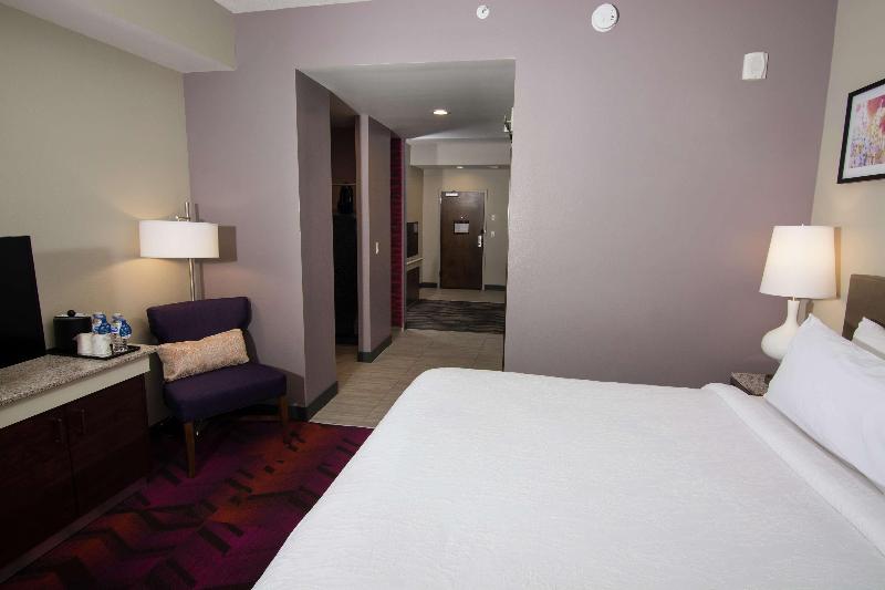 جناح جونيور سرير كينج, Hilton Garden Inn Tampa Suncoast Parkway