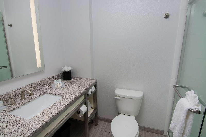 جناح جونيور سرير كينج, Hilton Garden Inn Tampa Suncoast Parkway