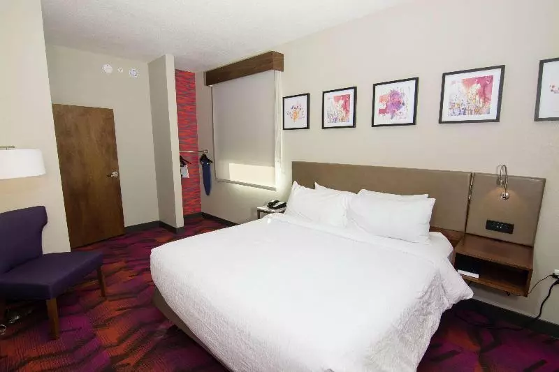 Sviitti King-vuode, Hilton Garden Inn Tampa Suncoast Parkway