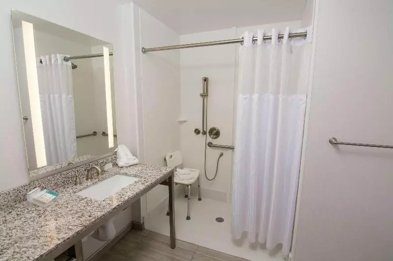 Sviitti King-vuode, Hilton Garden Inn Tampa Suncoast Parkway