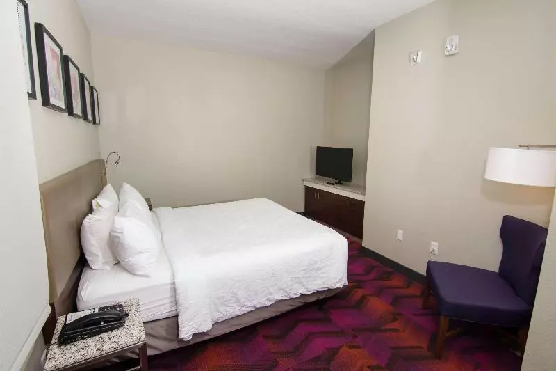 Sviitti King-vuode, Hilton Garden Inn Tampa Suncoast Parkway