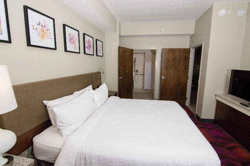 جناح سرير كينج, Hilton Garden Inn Tampa Suncoast Parkway
