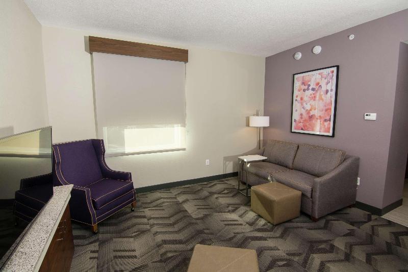 جناح سرير كينج, Hilton Garden Inn Tampa Suncoast Parkway