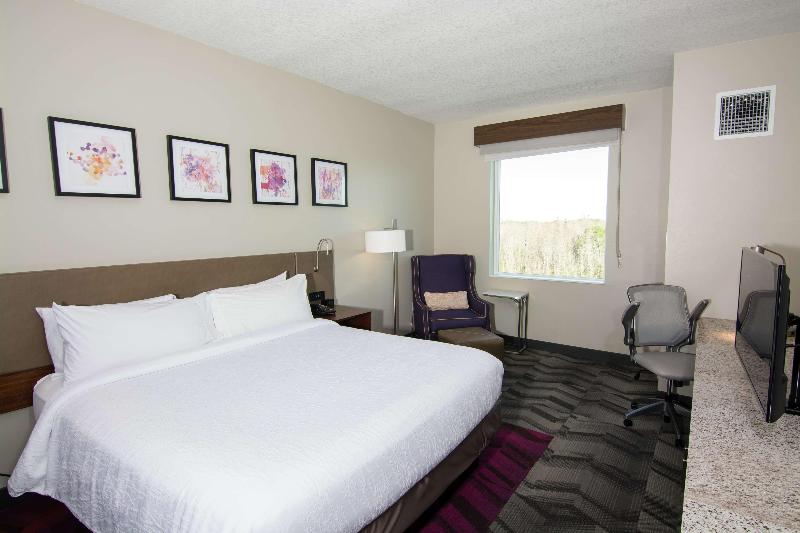 스탠다드 룸 킹사이즈 침대, Hilton Garden Inn Tampa Suncoast Parkway