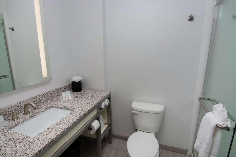 주니어 스위트 킹사이즈 침대, Hilton Garden Inn Tampa Suncoast Parkway