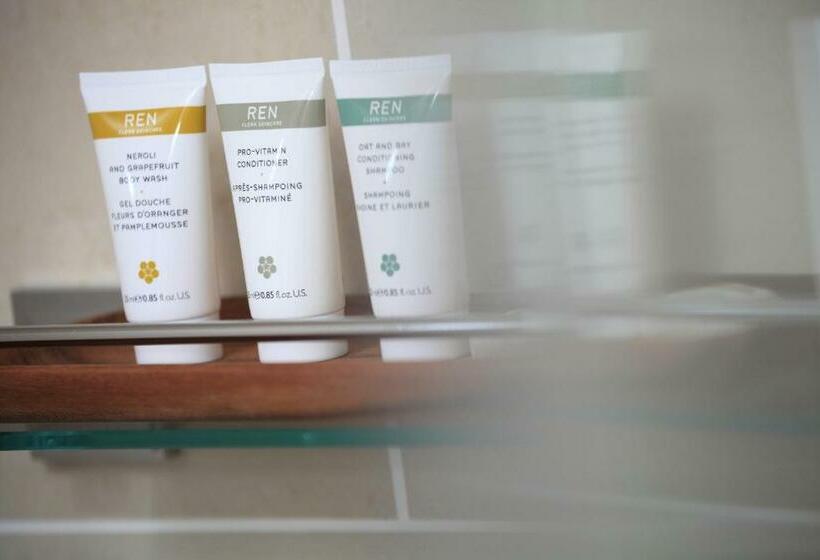 스탠다드 룸 킹사이즈 침대, Virginia House Bed And Breakfast